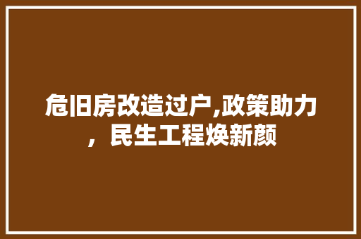 危旧房改造过户,政策助力，民生工程焕新颜 墙面装饰