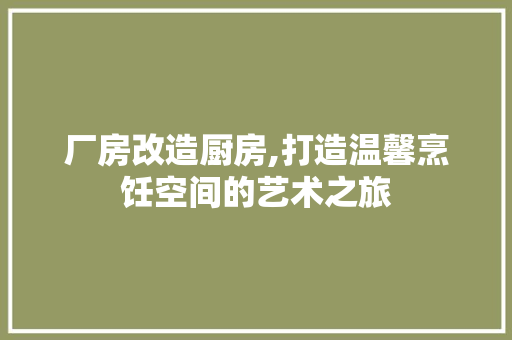 厂房改造厨房,打造温馨烹饪空间的艺术之旅 装修材料