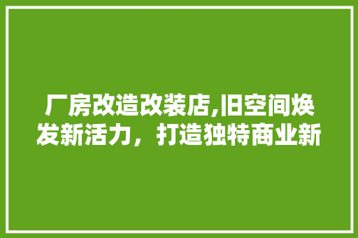 厂房改造改装店,旧空间焕发新活力，打造独特商业新地标 建筑设计