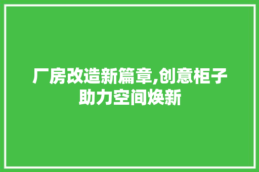 厂房改造新篇章,创意柜子助力空间焕新