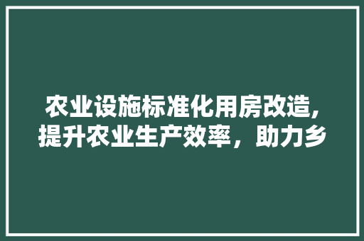农业设施标准化用房改造,提升农业生产效率，助力乡村振兴 地面装修