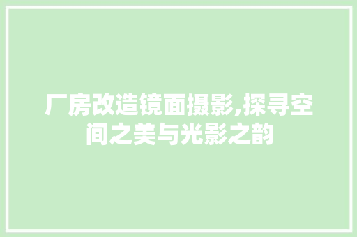 厂房改造镜面摄影,探寻空间之美与光影之韵