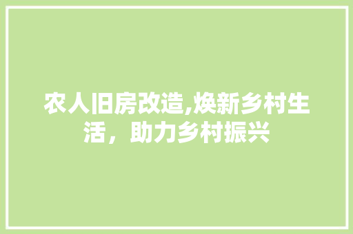 农人旧房改造,焕新乡村生活，助力乡村振兴