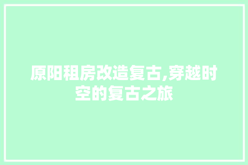 原阳租房改造复古,穿越时空的复古之旅 隔断设计