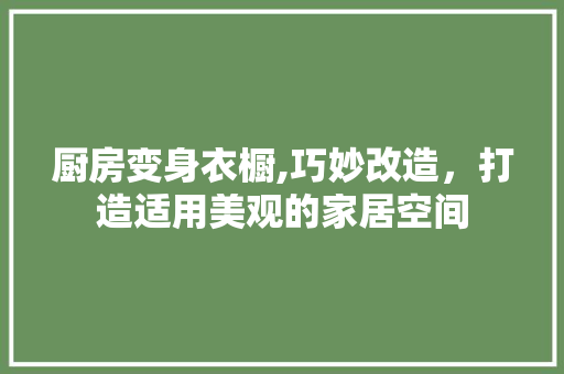 厨房变身衣橱,巧妙改造,打造适用美观的家居空间 装修攻略 厨房变身衣橱,巧妙改造,打造适用美观的家居空间 装修攻略