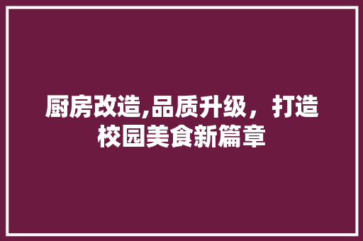 厨房改造,品质升级，打造校园美食新篇章