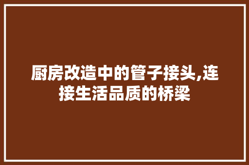厨房改造中的管子接头,连接生活品质的桥梁