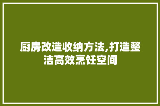 厨房改造收纳方法,打造整洁高效烹饪空间