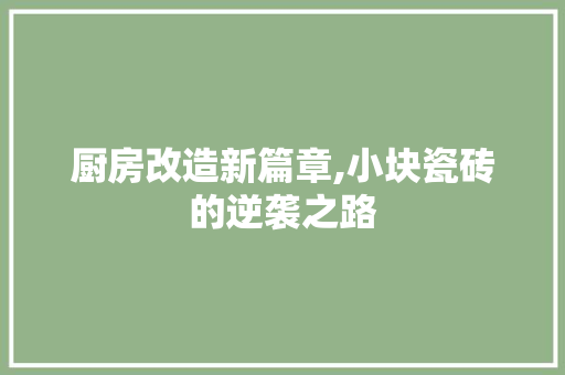 厨房改造新篇章,小块瓷砖的逆袭之路