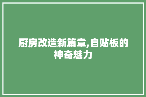 厨房改造新篇章,自贴板的神奇魅力