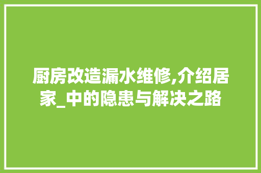 厨房改造漏水维修,介绍居家_中的隐患与解决之路