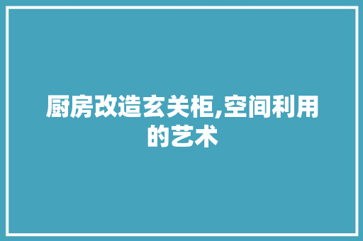 厨房改造玄关柜,空间利用的艺术 庭院装修