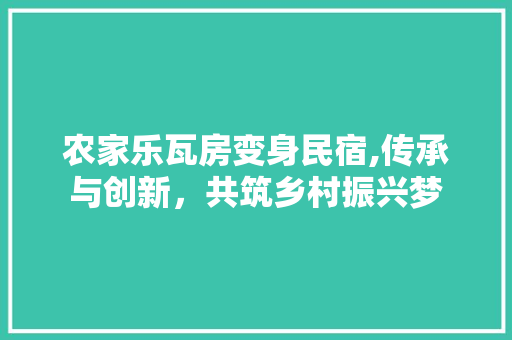 农家乐瓦房变身民宿,传承与创新，共筑乡村振兴梦