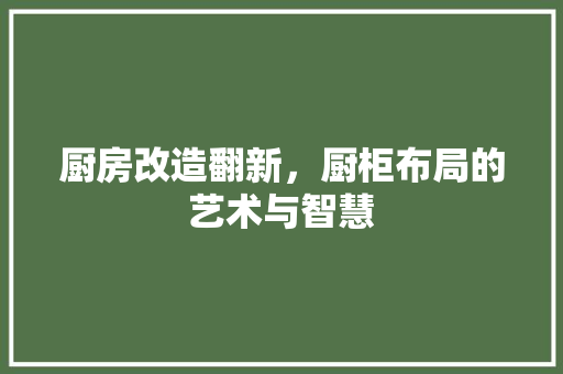 厨房改造翻新，厨柜布局的艺术与智慧 建筑设计