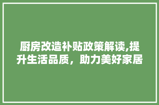 厨房改造补贴政策解读,提升生活品质，助力美好家居生活