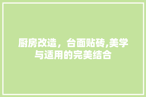 厨房改造，台面贴砖,美学与适用的完美结合