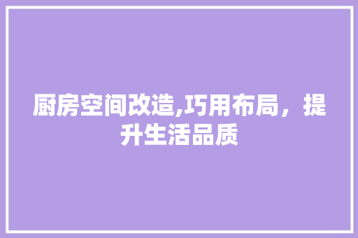 厨房空间改造,巧用布局，提升生活品质