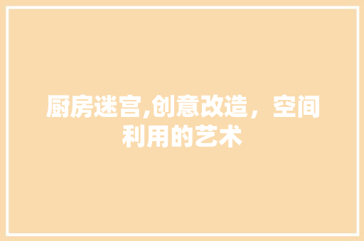 厨房迷宫,创意改造，空间利用的艺术
