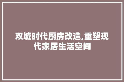 双城时代厨房改造,重塑现代家居生活空间