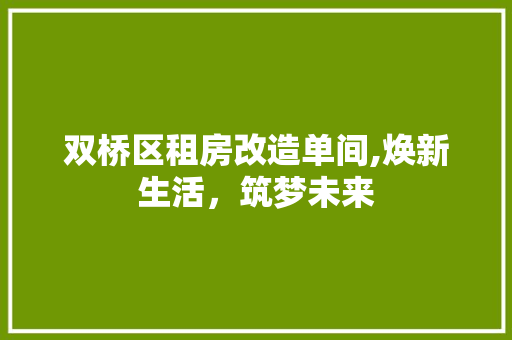 双桥区租房改造单间,焕新生活，筑梦未来