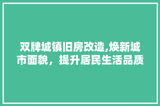 双牌城镇旧房改造,焕新城市面貌，提升居民生活品质