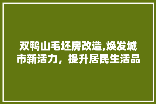 双鸭山毛坯房改造,焕发城市新活力，提升居民生活品质