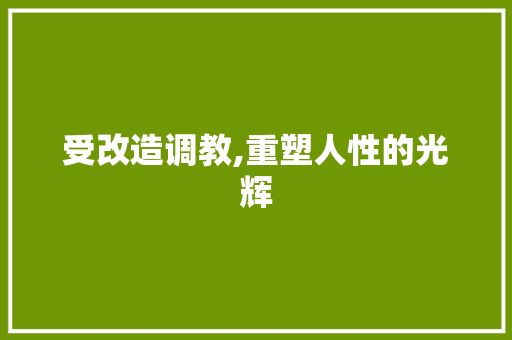受改造调教,重塑人性的光辉 地面装修