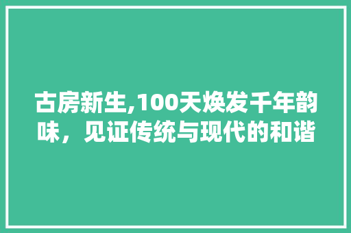古房新生,100天焕发千年韵味，见证传统与现代的和谐交融 景观设计