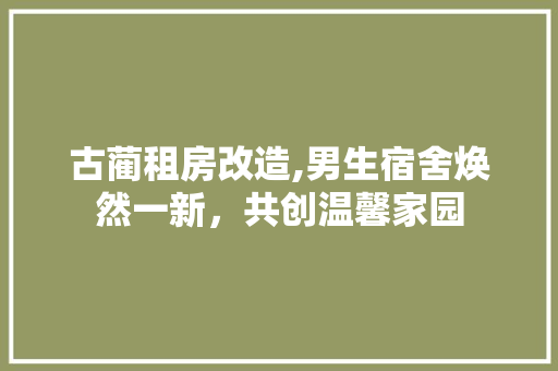 古蔺租房改造,男生宿舍焕然一新，共创温馨家园 墙面装饰