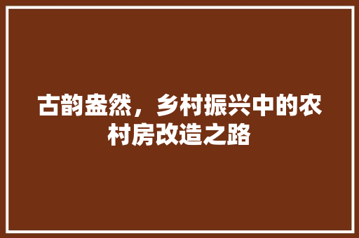 古韵盎然,乡村振兴中的农村房改造之路 地面装修 古韵盎然,乡村振兴中的农村房改造之路 地面装修