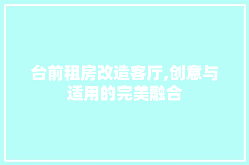 台前租房改造客厅,创意与适用的完美融合 隔断设计