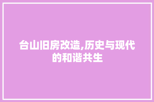 台山旧房改造,历史与现代的和谐共生 建筑设计