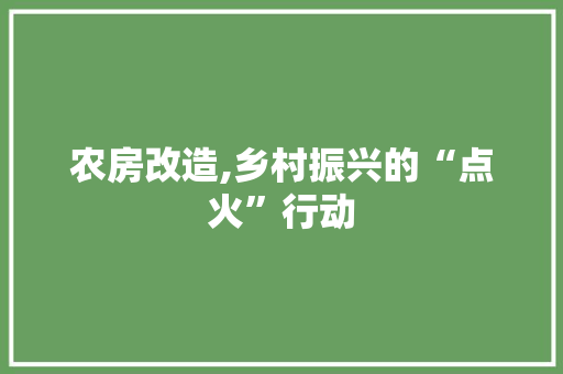农房改造,乡村振兴的“点火”行动