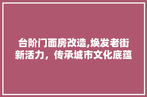 台阶门面房改造,焕发老街新活力，传承城市文化底蕴 装修攻略