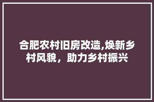 合肥农村旧房改造,焕新乡村风貌，助力乡村振兴 庭院装修