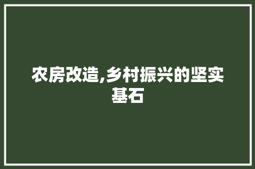 农房改造,乡村振兴的坚实基石