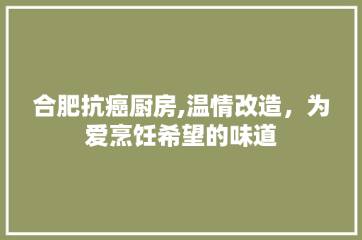 合肥抗癌厨房,温情改造，为爱烹饪希望的味道