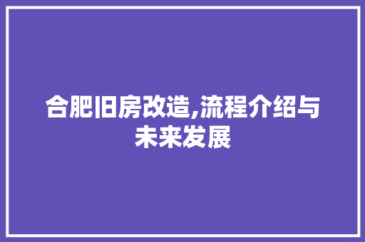 合肥旧房改造,流程介绍与未来发展 墙面装饰