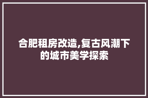 合肥租房改造,复古风潮下的城市美学探索