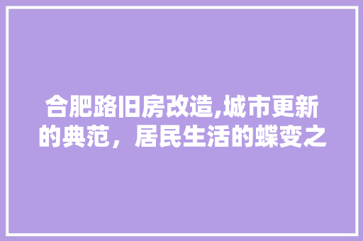 合肥路旧房改造,城市更新的典范，居民生活的蝶变之旅 隔断设计