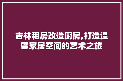 吉林租房改造厨房,打造温馨家居空间的艺术之旅
