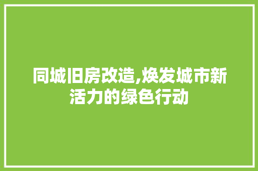 同城旧房改造,焕发城市新活力的绿色行动