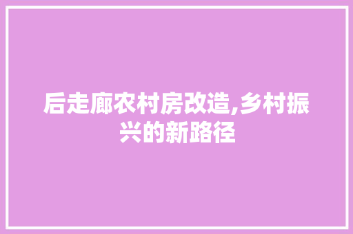 后走廊农村房改造,乡村振兴的新路径 隔断设计