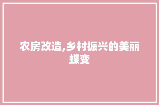 农房改造,乡村振兴的美丽蝶变 景观设计