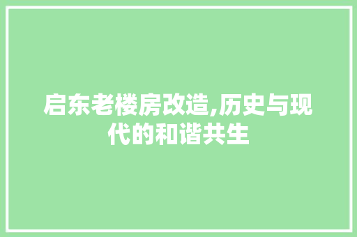 启东老楼房改造,历史与现代的和谐共生 庭院装修