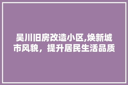 吴川旧房改造小区,焕新城市风貌，提升居民生活品质 庭院装修