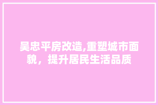 吴忠平房改造,重塑城市面貌，提升居民生活品质 地面装修