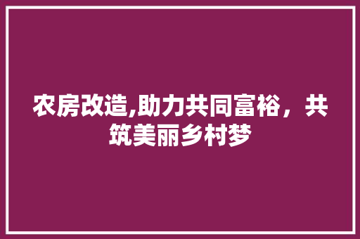 农房改造,助力共同富裕，共筑美丽乡村梦 墙面装饰