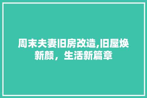 周末夫妻旧房改造,旧屋焕新颜，生活新篇章