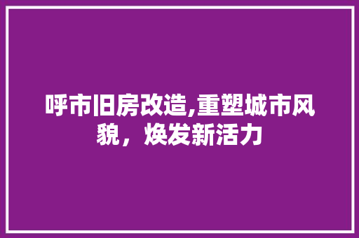 呼市旧房改造,重塑城市风貌，焕发新活力